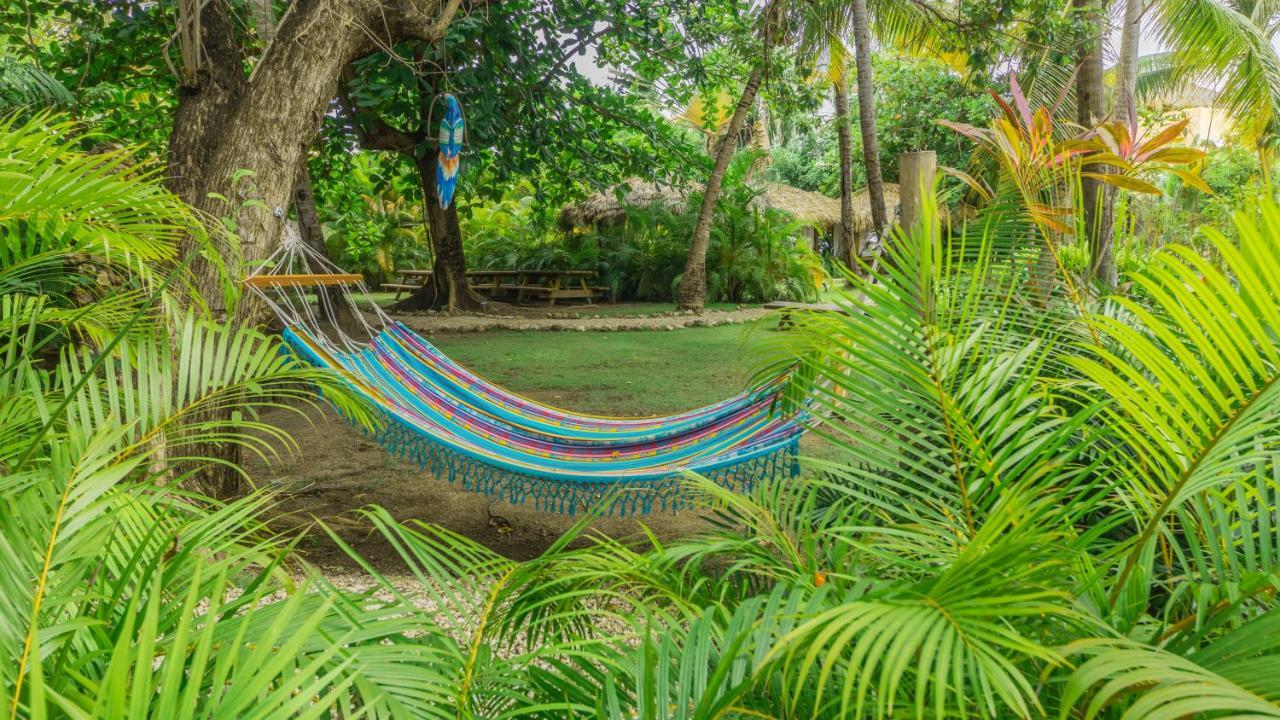 Los Corales Beach Village Punta Cana Ngoại thất bức ảnh